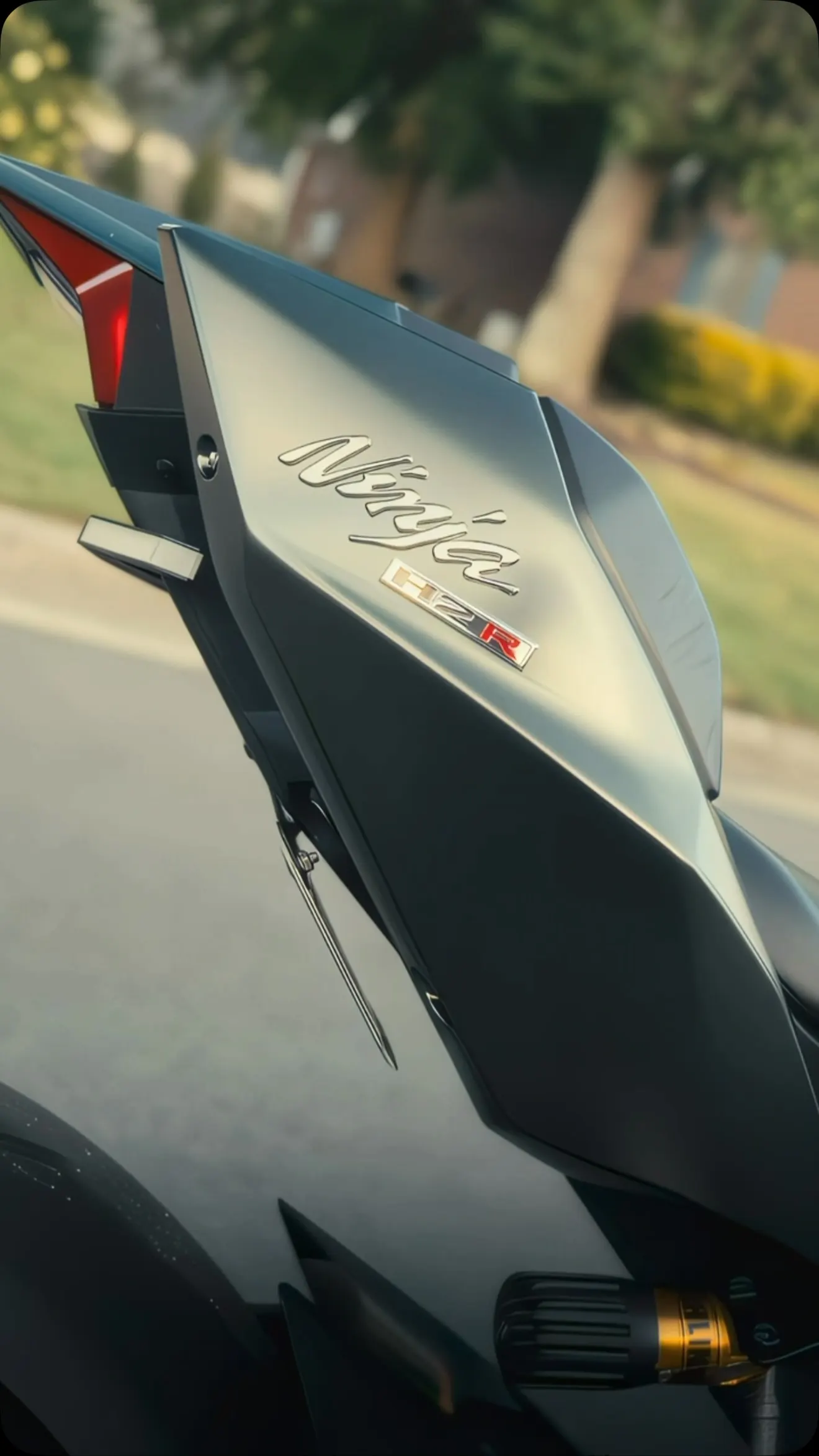 Kawasaki H2R nose and badge